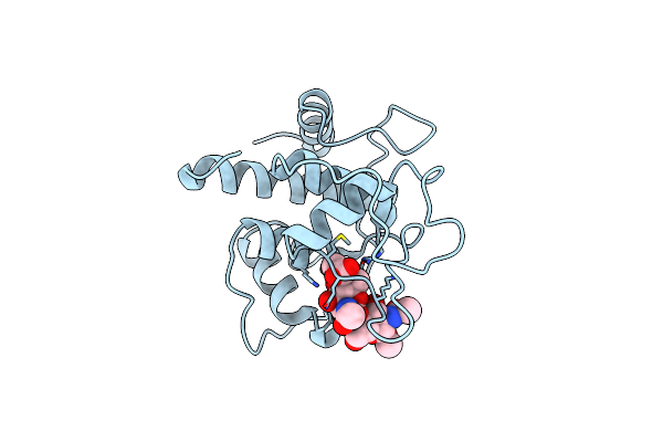 7SV3 image