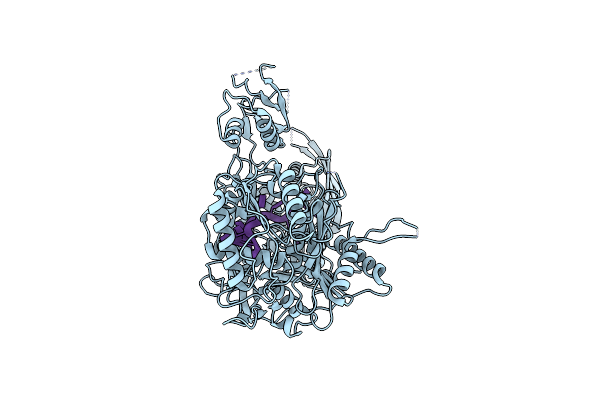 7SVA image