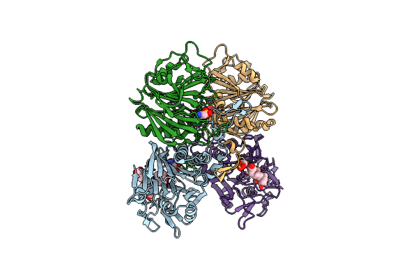 7SVG image