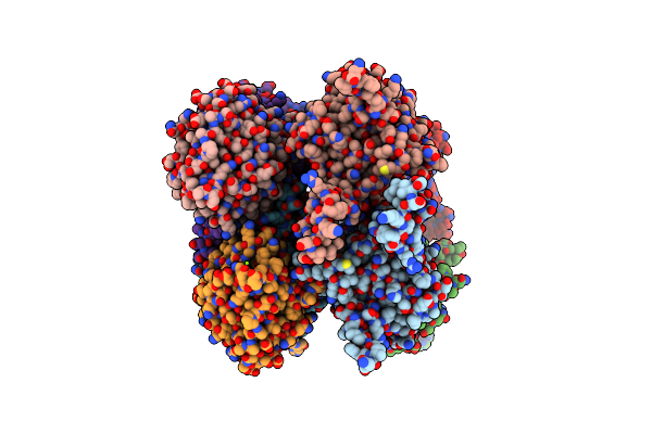 7SVH image
