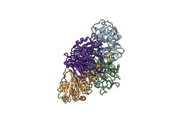 7SVI image