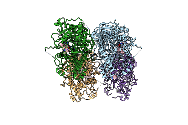 7SVP image