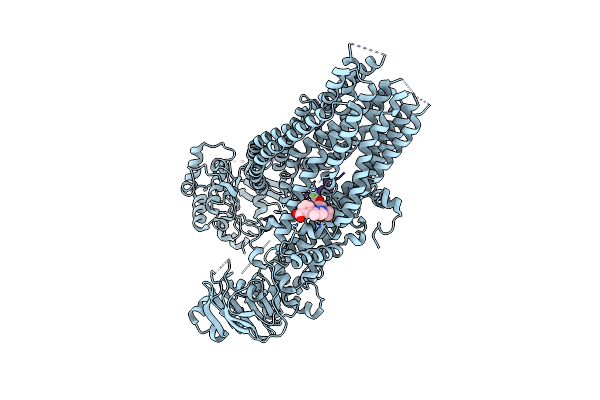 7SVR image