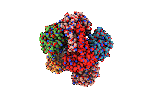 7SVS image