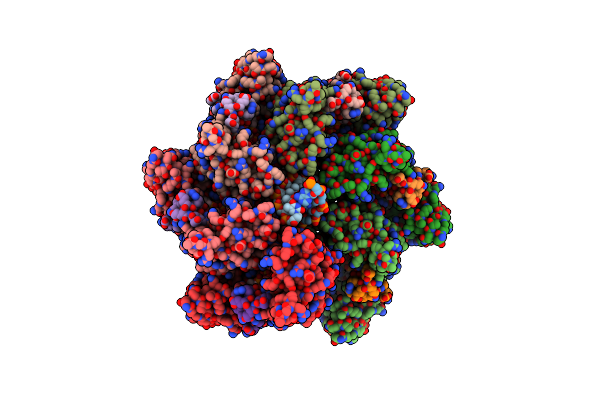 7SVV image