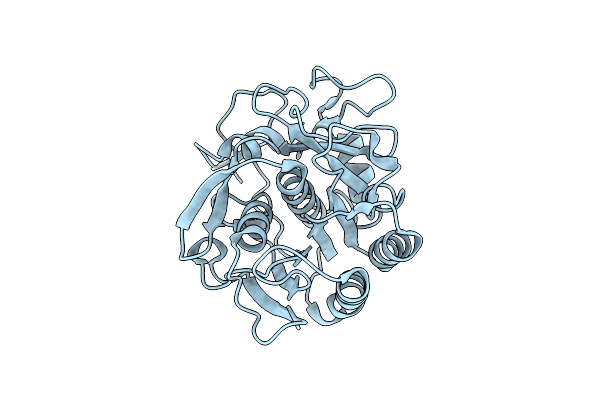 7SVY image