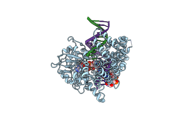 7SXE image