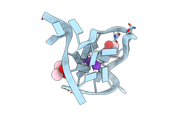 7SXP image