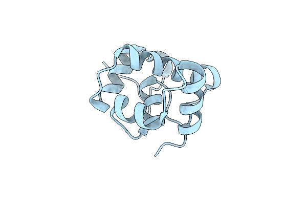 7SYB image