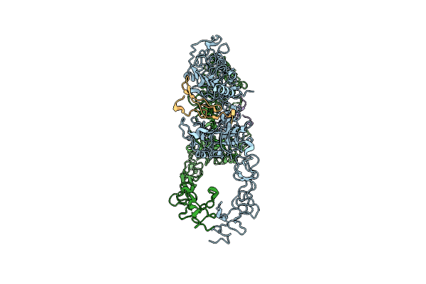 7SYE image