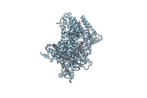 7SYF image