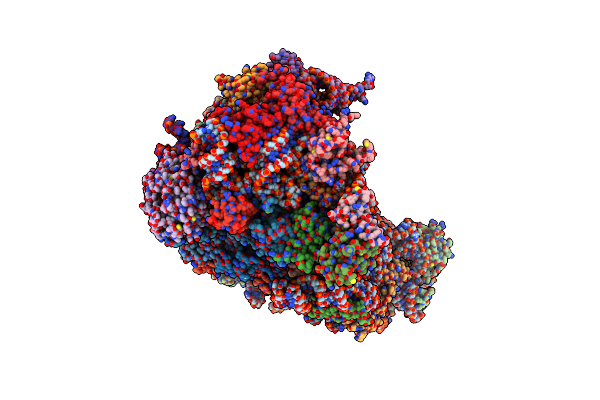 7SYS image