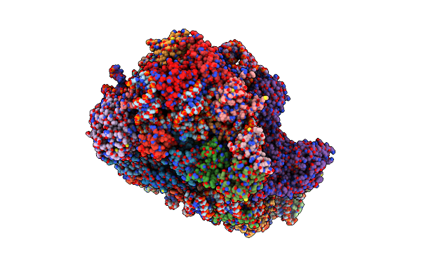 7SYX image