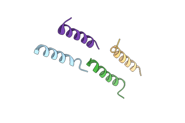7SZZ image