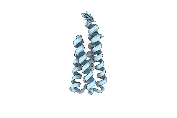 7T03 image