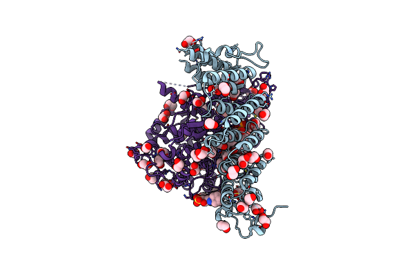 7T08 image