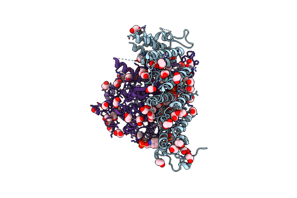 7T0B image