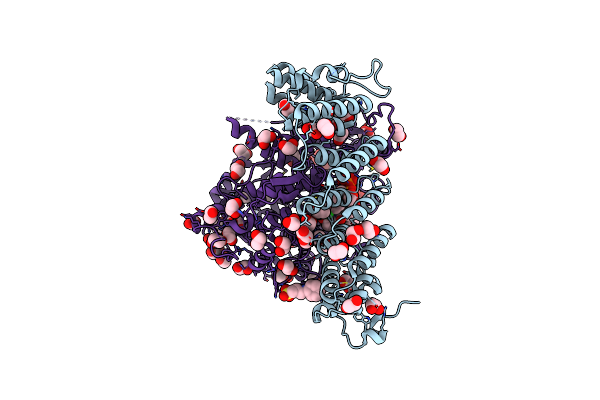 7T0C image