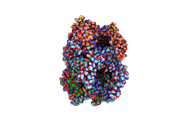 7T0V image