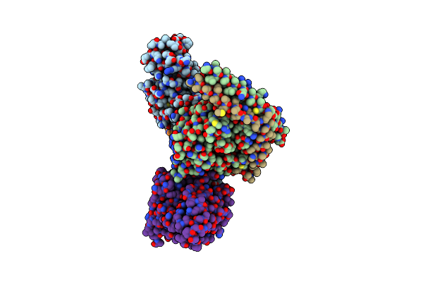 7T10 image