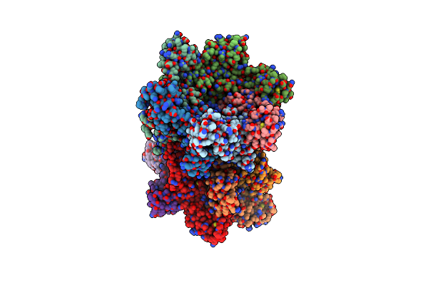 7T12 image