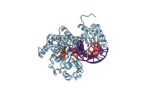 7T19 image