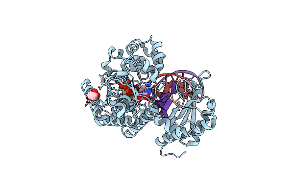 7T1B image