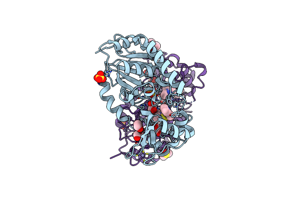 7T1D image