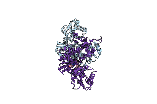 7T1G image