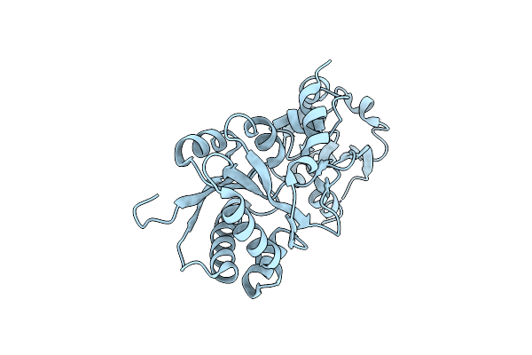 7T1M image