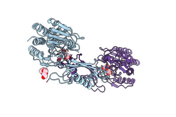 7T1Q image