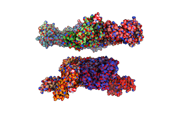 7T2D image
