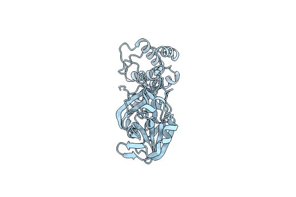 7T2T image