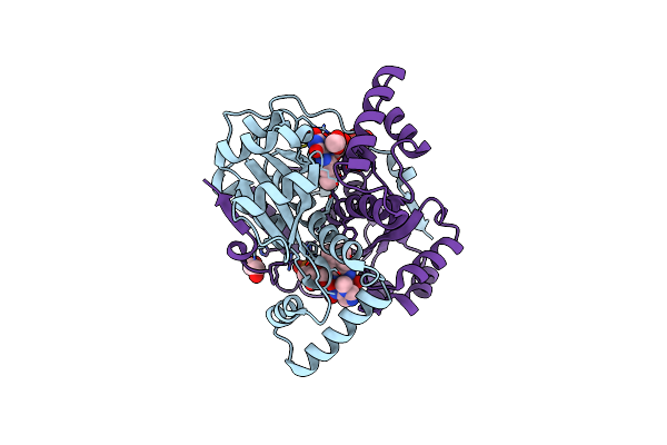 7T2Z image