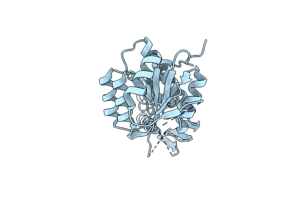 7T34 image