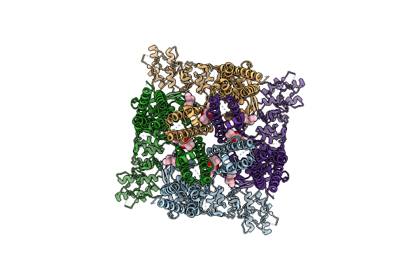 7T37 image