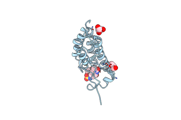 7T3F image