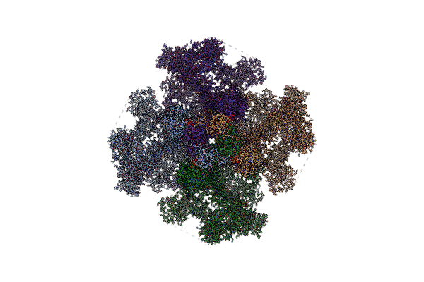 7T3P image