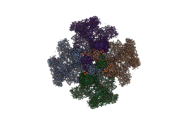 7T3R image