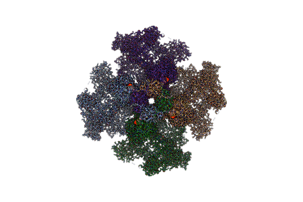 7T3T image