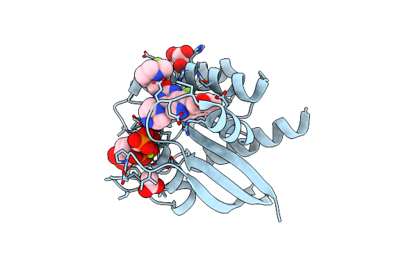 7T47 image