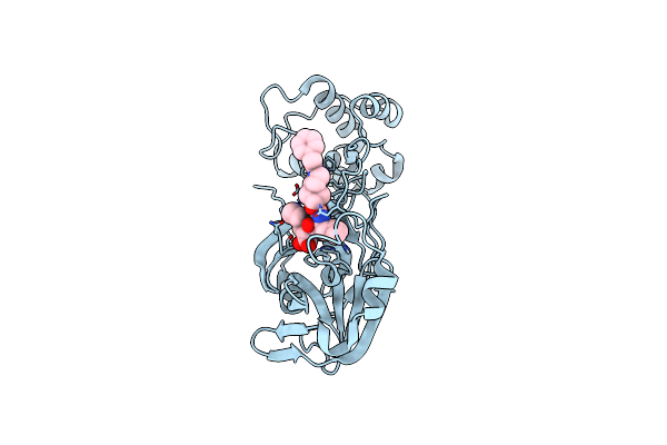 7T48 image