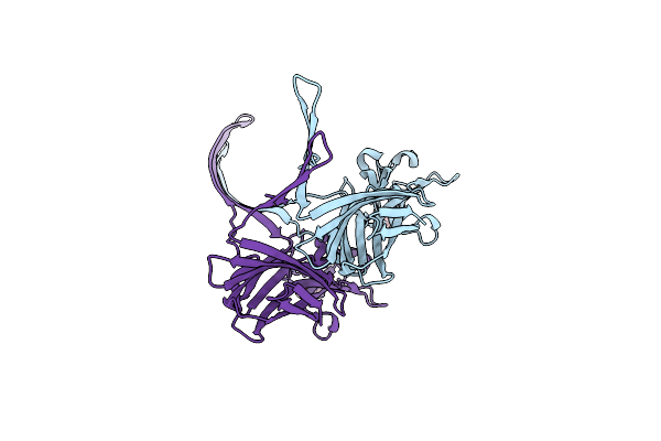 7T4D image