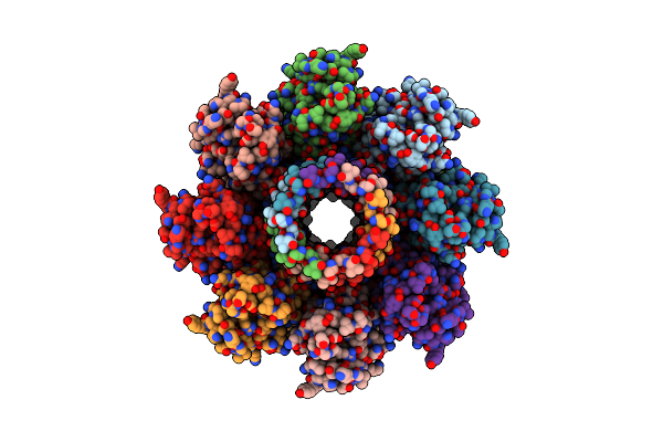 7T4E image