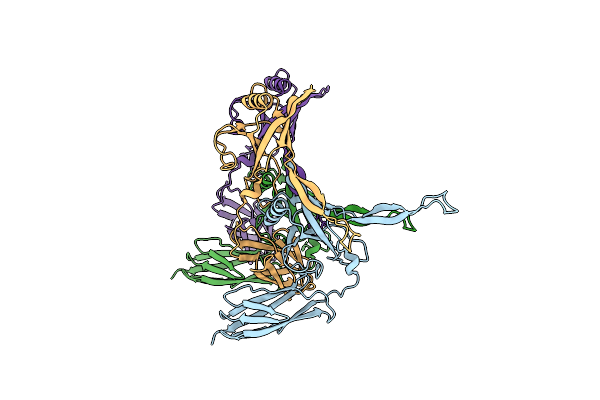 7T4F image