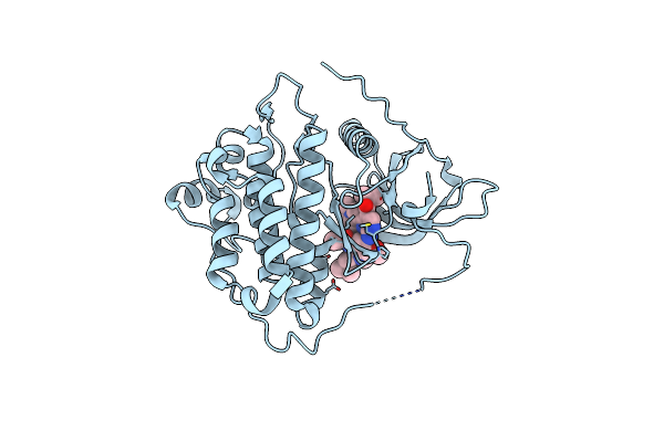 7T4I image