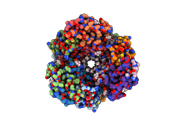 7T4O image