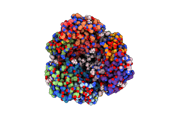 7T4P image