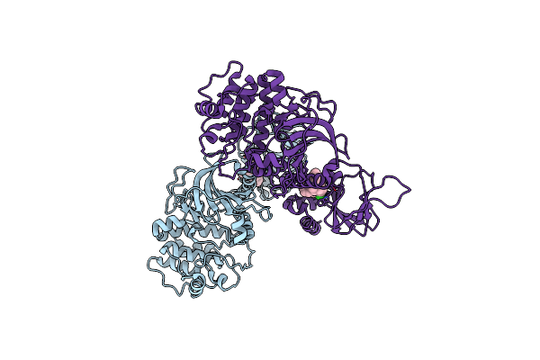7T4W image