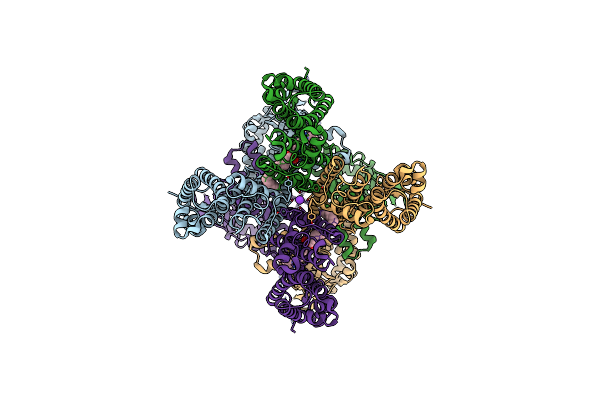 7T4X image